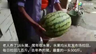 吃瓜视频完整版免费观看,免费畅享热门内容  第1张